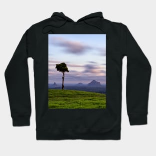 The Lone Tree of Maleny Hoodie